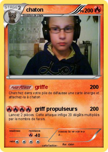 Pokemon chaton