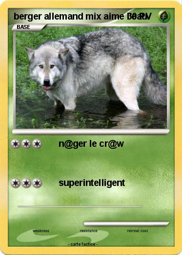 Pokemon berger allemand mix aime l'eau