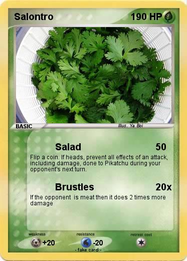 Pokemon Salontro