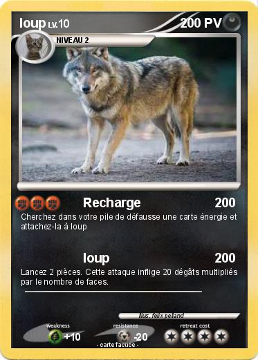 Pokemon loup