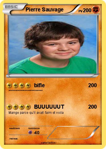 Pokemon Pierre Sauvage