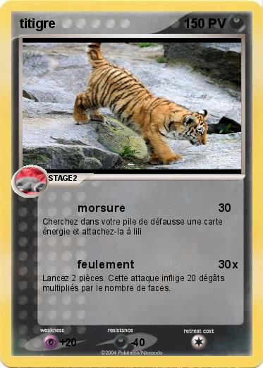 Pokemon titigre