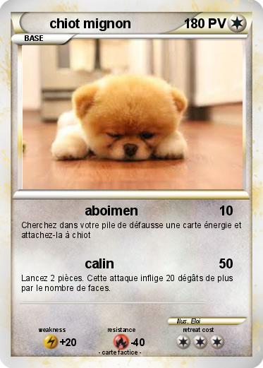 Pokemon chiot mignon
