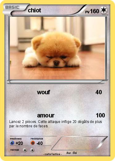 Pokemon chiot
