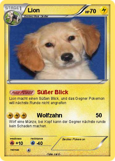 Pokemon Lion