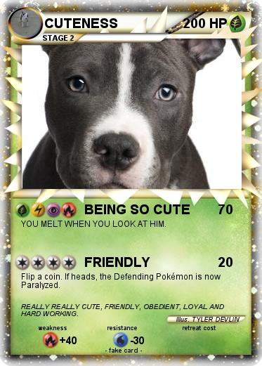 Pokemon CUTENESS