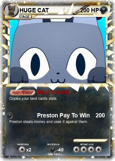 Pokemon HUGE CAT