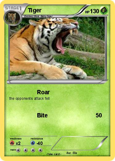 Pokemon Tiger
