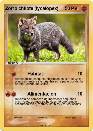Pokemon Zorro chilote (lycalopex)