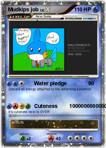Pokemon Mudkips job