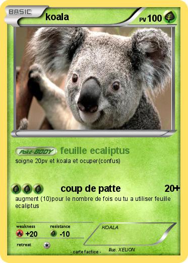Pokemon koala