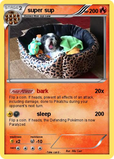Pokemon super sup