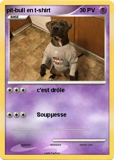 Pokemon pit-bull en t-shirt