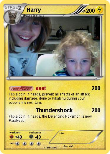Pokemon Harry