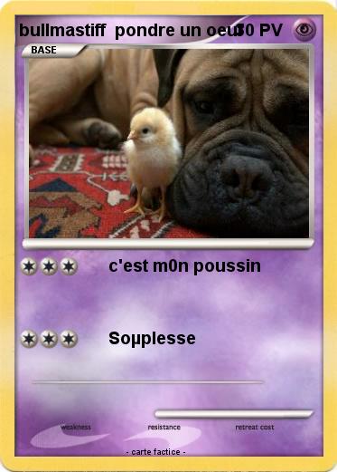Pokemon bullmastiff  pondre un oeuf