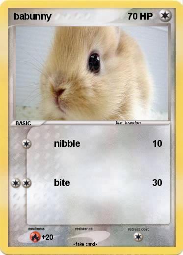 Pokemon babunny