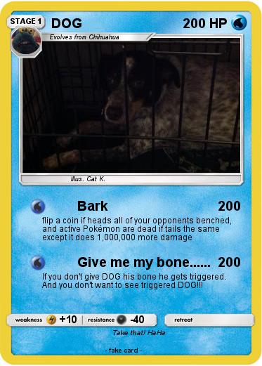 Pokemon DOG