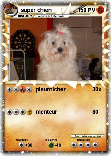 Pokemon super chien