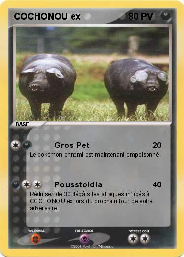 Pokemon COCHONOU ex