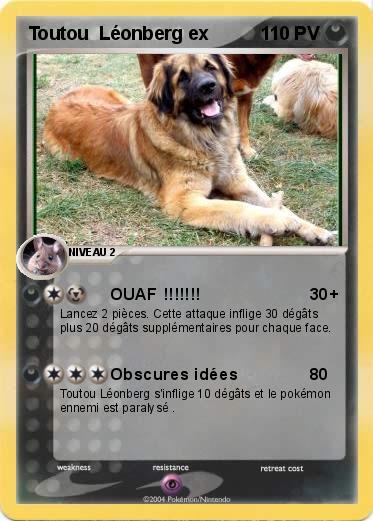 Pokemon Toutou  Léonberg ex