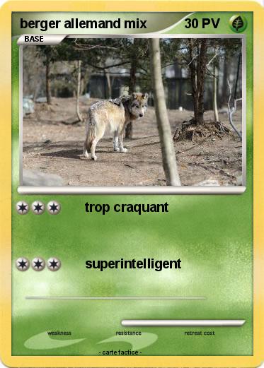 Pokemon berger allemand mix