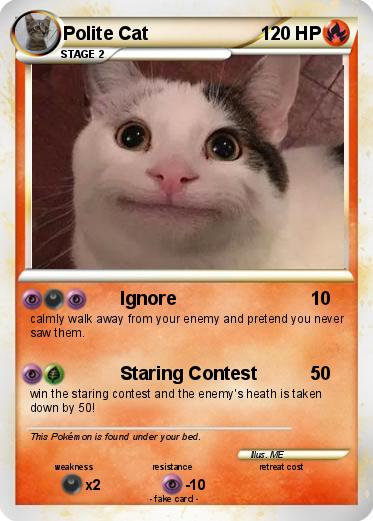 Pokemon Polite Cat