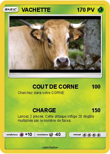 Pokemon VACHETTE
