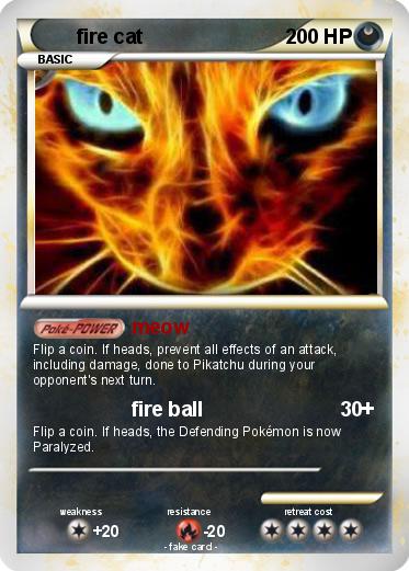 Pokemon fire cat