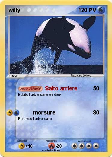 Pokemon willy