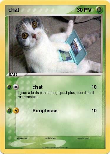 Pokemon chat 