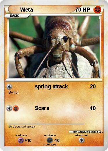 Pokemon Weta