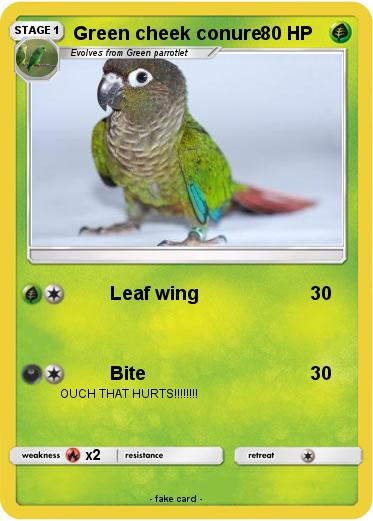 Pokemon Green cheek conure