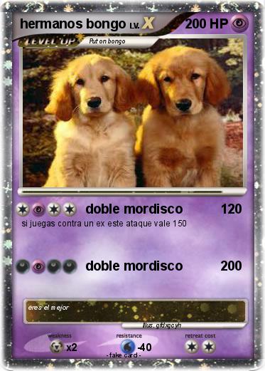 Pokemon hermanos bongo