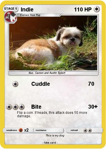 Pokemon Indie