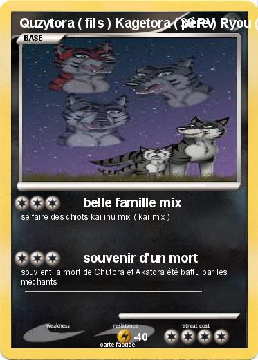 Pokemon Quzytora ( fils ) Kagetora ( père ) Ryou ( mère ) Kurotora , Chutora et Akatora ( trois grand-pères )