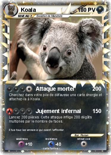 Pokemon Koala