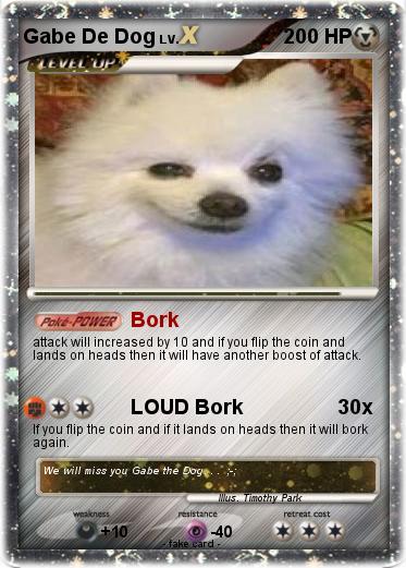 Pokemon Gabe De Dog