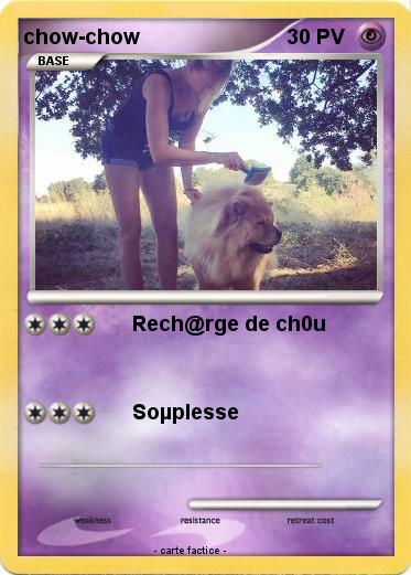 Pokemon chow-chow