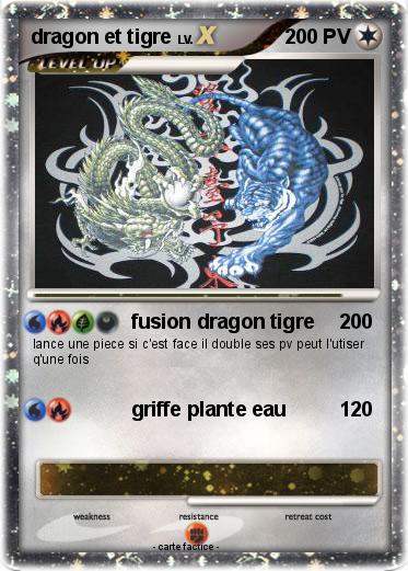 Pokemon dragon et tigre