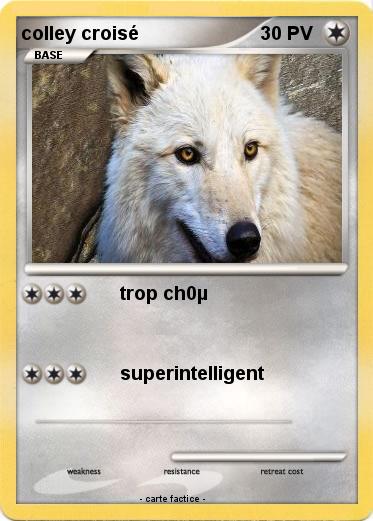 Pokemon colley croisé