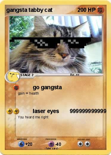 Pokemon gangsta tabby cat