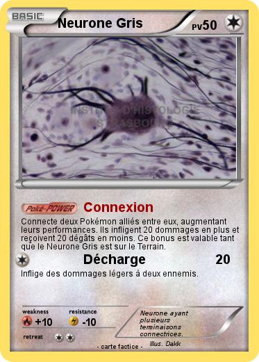 Pokemon Neurone Gris