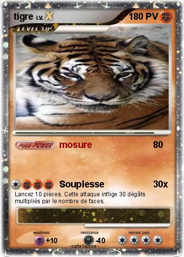 Pokemon tigre