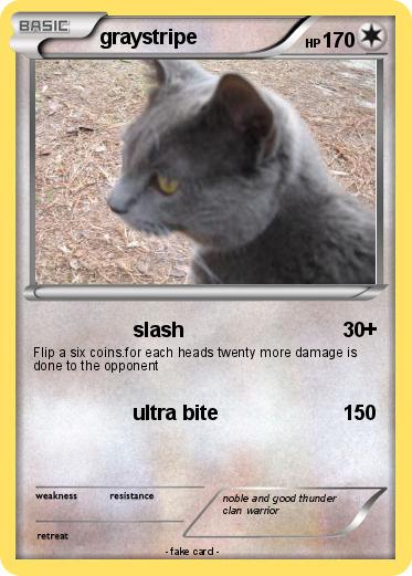 Pokemon graystripe