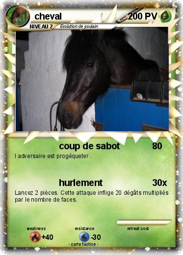 Pokemon cheval