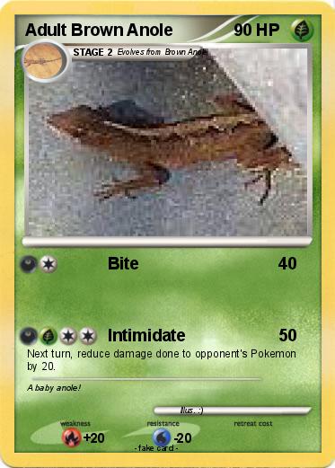 Pokemon Adult Brown Anole