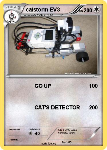 Pokemon catstorm EV3