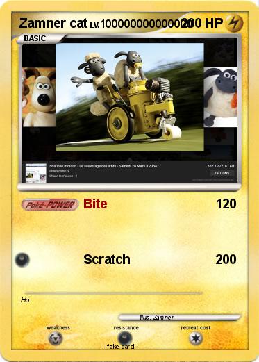 Pokemon Zamner cat