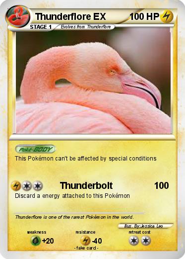 Pokemon Thunderflore EX