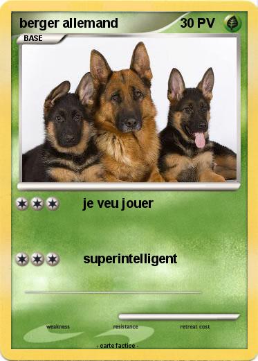 Pokemon berger allemand